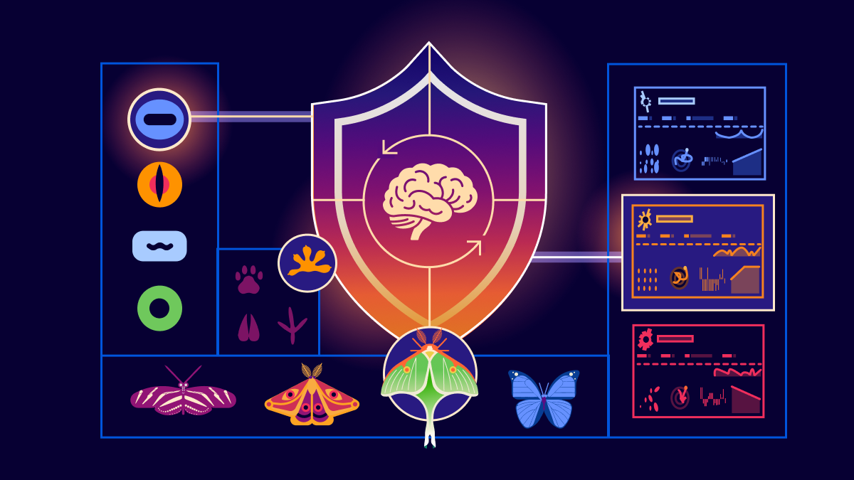Introducing Adaptive Intelligence: undermining the economics of every bot attack