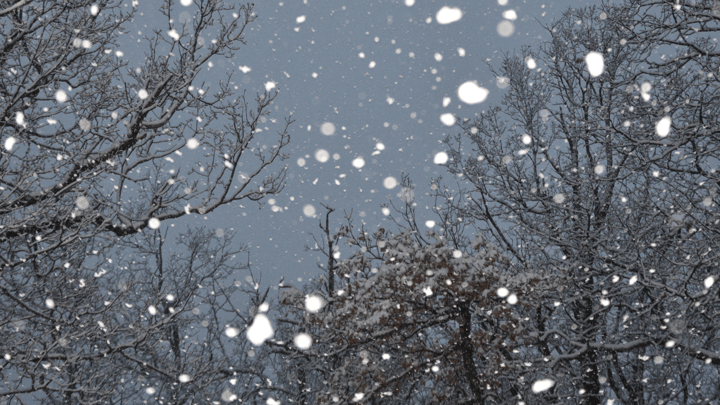 Russia's Star Blizzard Ditches ClickFix to Widen Phishing Net
