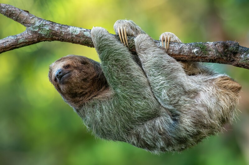 Slothful summer app lets you scroll simply by tilting your head